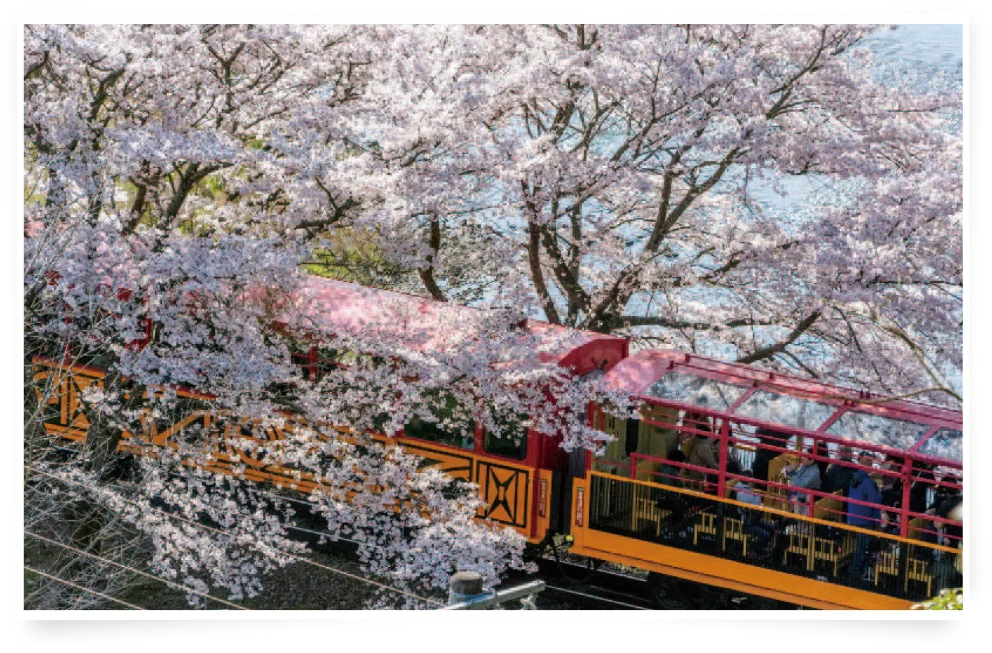 春の陽気で<br>心地よい列車旅