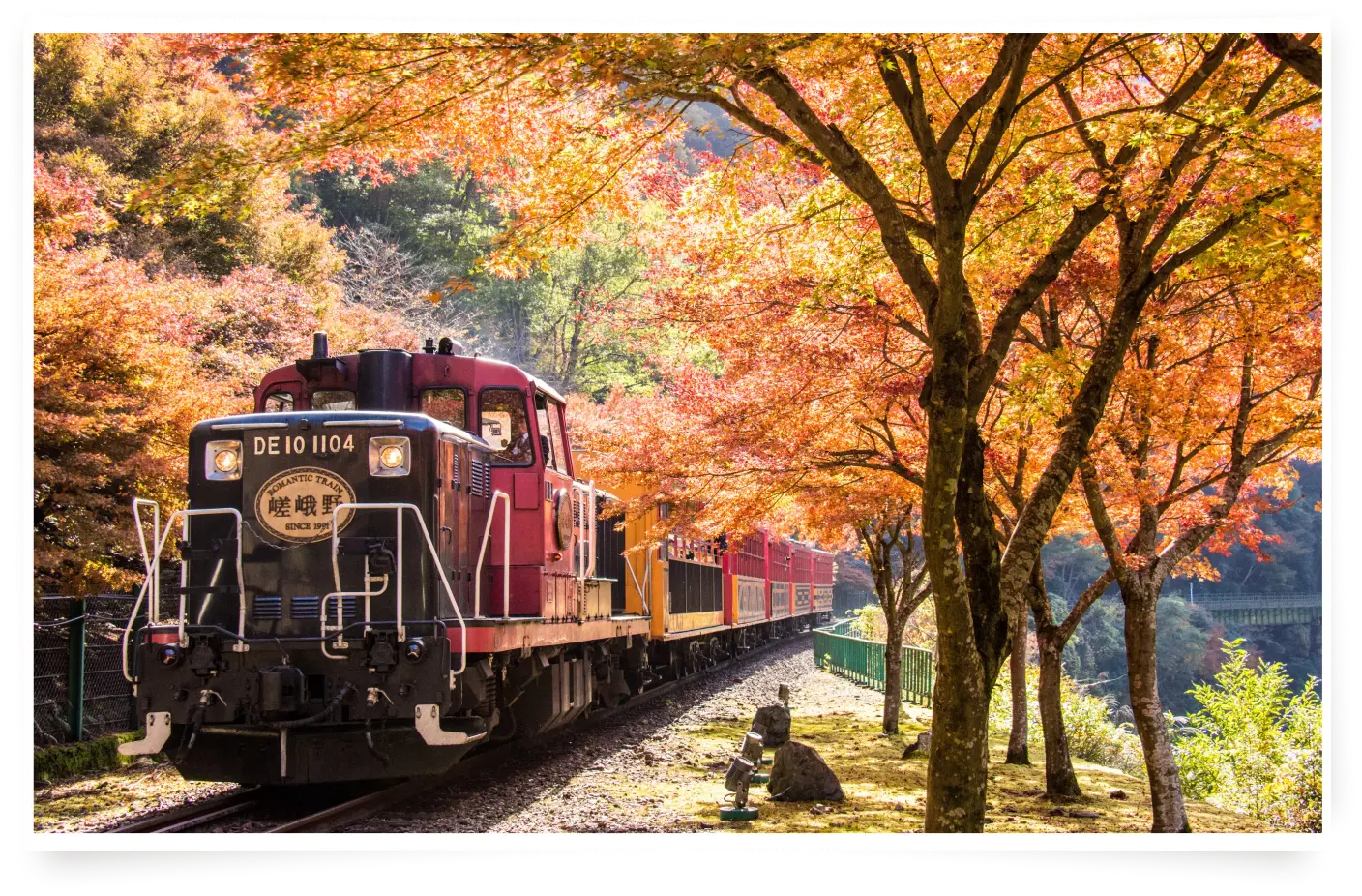 Tunnel of autumn foliage